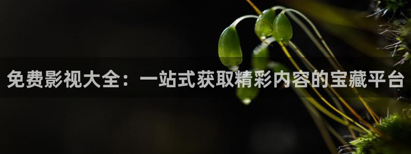 小小影视在线观看高清：免费影视大全：一站式获取精彩内容的宝藏平台