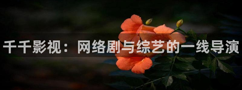 小小影视热播剧有哪些：千千影视：网络剧与综艺的一线导演