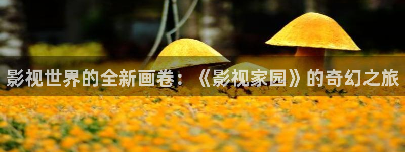 小小影视邀请码：影视世界的全新画卷：《影视家园》的奇幻之旅