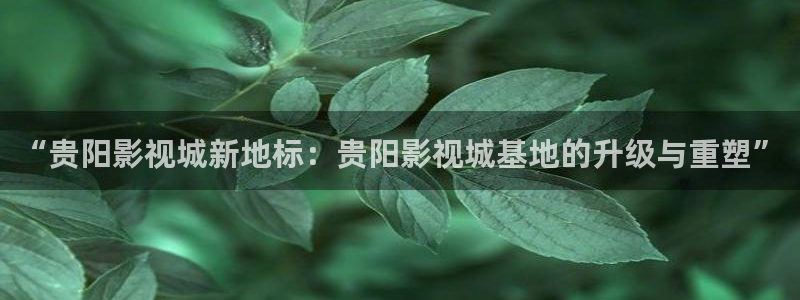 小小影视最新版本下载：“贵阳影视城新地标：贵阳影视城基地的升级与重塑”