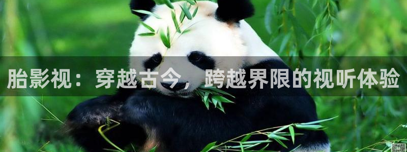 小小影视大全在线观看官网：胎影视：穿越古今，跨越界限的视听体验